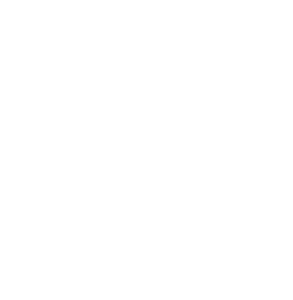 state of wa logo